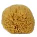 Natural Sea Sponge 6-7 by Spa Destinations Creating The At-Home Spa Experience