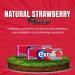 Extra Chewing Gum 10 x Sugar Free Selection Fresh Bulk box All Mix Flavours - Peppermint Watermelon Strawberry Ice Apple White Cool Breeze Bubblemint Blueberry Spearmint Sold by VR Angle - Buy Online on GoSupps.com