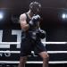 Cleto Reyes Traditional No-Foul Protector in Medium Black - High-Quality Boxing Gear - Buy Online on GoSupps.com