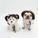 Funny Dog & Cat Role Play Wigs for Halloween & Parties | Pet Costumes in Black & Brown - Small Medium & Large Sizes - Buy Online on GoSupps.com