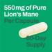 Vitasave Organic Lions Mane Supplement Capsules | 550mg Per Capsule Lions Mane Mushroom Supplement | Source Of Antioxidants & Immune Booster | Cognitive Support Nootropics Brain Supplements - Buy Online on GoSupps.com