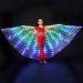 EMVANV LED Belly Dance Wing for Child - Light Up Isis Wings with Telescopic Stick for Carnival and Stage Performances - Buy Online on GoSupps.com