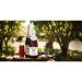 Martinelli's Sparkling Red Grape Juice 8.4 oz. - Pack of 12 Bottles | Non-Alcoholic Beverage - Buy Online on GoSupps.com