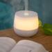 Aroma Labs DIFFUSER ROSAE HUMIDIFIER