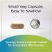 Synergy Holistics | Immune Synergy - Immune Support Supplement - 9 Clinically Validated Ingredients Astragalus Elderberry Eldermune Andrographis PANICIN Zinc & Sunfiber - 90 Veg Caps - Buy Online on GoSupps.com