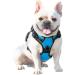 Phoepet Reflective Adjustable Dog Harness - Anti-Educational with Training Handle Name ID Card 2 Metal Hooks 3 Snap Buckles - XS Blue Perfect for Easy Control and Comfort - Buy Online on GoSupps.com