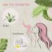 2-Pack Lily of Valley Essential Oil - 100% Pure Organic Diffuser Oil for Spa Massage Yoga & Perfume | 2x10ML - Buy Online on GoSupps.com