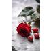 Red Rose Attar Grade "A" Perfume Oil Alcohol Free 10ml (10 ML roll on) Bottle - Buy Online on GoSupps.com