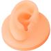 Silicone Artificial Ear Model for Acupuncture Practice | Reusable Right Ear Simulation Display - Buy Online on GoSupps.com