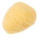 FOMIYES Natural Sponge Greece Sponges for Facials Facial Essentials Facial Cleansing Sponge Face Scrubber Exfoliator Facial Supplies Professional Face Sponge for Washing Face Facial Sponge