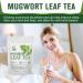 Organic Mugwort Tea Bags - Improve Sleep and Digestion - Caffeine Free - 30 Count - Buy Online on GoSupps.com