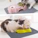 CS COSDDI Non-Slip Pet Feed Mat - Silicone Dog & Cat Food Pad (53x37cm) in Gray | Durable & Easy to Clean - Buy Online on GoSupps.com