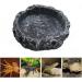 hisunfarm 2 Pcs Reptile Pets Water Dish Worm Rock Bowl Feeder with Feeding Clip for Turtle Gecko Lizard Spider Scorpion Chameleon Small - Buy Online on GoSupps.com