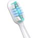 6 Replacement Toothbrush Heads for Philips HX3/HX6/HX9 Models - Compatible with All Models - Pack of 6 - Buy Online on GoSupps.com