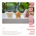 myHomeBody Konjac Baby Sponge 3pc. Set - Natural Kids Bath Sponge for Infants & Toddlers - Butterfly, Ladybug, Star Shapes - Plant-Based Bath Toys - Buy Online on GoSupps.com