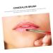 FRCOLOR 6 Pcs Retractable Lip & Eyebrow Brush Set - Portable Makeup Brushes for Travel | Versatile Eye Shadow & Lip Gloss Applicators - Buy Online on GoSupps.com