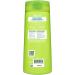 Garnier Fructis Clean & Fresh Fortifying Shampoo for Normal Hair with Grapefruit 650ml Fresh 650 ml (Pack of 1) - Buy Online on GoSupps.com