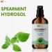 mGanna Spearmint Hydrosol 4 fl oz / 118 ml (Food Grade) Refreshing Natural and Versatile - Buy Online on GoSupps.com