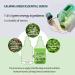 Buy Calming Green Essential Serum - Hydrating Vegan Ampoule for Acne 35ml | Super Centella Non-Greasy Paraben-Free Korean Skincare - Buy Online on GoSupps.com