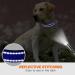 Taglory Adjustable Soft Padded Neoprene Dog Collar for Extra Large Dogs - Reflective & Durable XL Dark Blue (1-Pack) - Ideal for Training - Buy Online on GoSupps.com