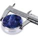 Blue Dream Whale Portable Metal Pill Box - Round Mini 3-Compartment Travel Organizer for Small Pills - Buy Online on GoSupps.com