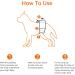 Amazon Basics Disposable Dog Diapers for Male Dogs - Small (30-Pack) | Premium Absorbency & Comfort - Buy Online on GoSupps.com