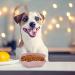 FEISIGE 6 Pcs Anti-Slip Pet Bowls - Multi-Purpose Plastic Bowls for Cats and Dogs: Ideal for Food and Water - Buy Online on GoSupps.com