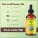 Natural Born Oils Jamaican Black Castor Oil 16oz Organic Cold-Pressed Fatty Acids Deep Hydration for Skin Hair Restoration - Buy Online on GoSupps.com