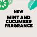 Ecover Mint & Cucumber Bathroom Cleaner 500ml - Pack of 1 - Buy Online on GoSupps.com