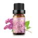 Sedbuwza Lilac Essential Oil Lilac Fragrance Oil for Diffuser Humidifier Soap Candle Perfume - 10ML Lilac 0.33 Fl Oz (Pack of 1)