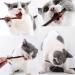 onebarleycorn Cat Catnip Toys for Cats Cat nip Toy Sticks Natural Matatabi Kitten Chews Toy Dental Treats Teething Stick for Cats Pack of 20 pcs 20 count (Pack of 1) - Buy Online on GoSupps.com