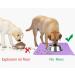 Joytale Non-Slip Silicone Dog & Cat Bowl Pad - Waterproof 53x37cm in Purple | Perfect Pet Accessory for Dogs & Cats - Shop Internationally - Buy Online on GoSupps.com