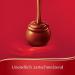 Buy Lindt Lindor Deluxe Box | 1350g | 108 Chocolates | Milk Dark Hazelnut White Pistachio | Perfect Praline Gift | International Shipping Available - Buy Online on GoSupps.com