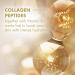 Olay Moisturiser Skin Care Sets & Kits Womens Gift Sets Retinol 24 Night Cream 50ml & Collagen Peptide 24 Face Cream 50ml Instantly Hydrates For 24H Collagen Peptide 24 Day Cream MAX + Retinol 24 Night Cream - Buy Online on GoSupps.com