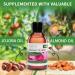 KitaMa Aromatherapy Rose Massage Oil - 250ml Nourishing Body Care for Relaxation & Spa - Buy Online on GoSupps.com