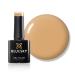 Bluesky Gel Nail Polish Dreamer Aw19 Pale Yellow Long Lasting Chip Resistant 10 ml (Requires Curing Under UV LED Lamp) Fw1904 Dreamer 10 ml (Pack of 1)