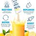 Recovery & Hydration Drink Mix - Electrolytes Probiotics Vitamins for Liver & Gut - Sugar-Free Lemonade Powder - 10 Pack - Buy Online on GoSupps.com
