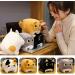 Sweet Square Cat Toys | Hugging Cats Cuddly Toy Pillow | Kawaii Kitten Plush Puppet | Soft Anime Pet Pillows | Cotton Plush Animal Decorations - Buy Online on GoSupps.com