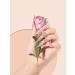 500PCS XL Stiletto Nail Tips | Clear False Nails for Acrylic | Half Cover Tapered Square Tips for Nail Extension | 10 Sizes | DIY Nail Art - Buy Online on GoSupps.com