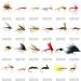 120pcs Croch Dry/Wet Flies Box Set for Bass, Salmon, Trout Fishing - Assorted Designs in Waterproof Box - Buy Online on GoSupps.com