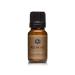 P&J Trading - Pecan Pie Scented Oil 10ml - Fragrance Oil for Candle Making Soap Making Diffuser Oil