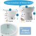 Necoichi Raised Cat Water Bowl with Measurement Lines - Dishwasher & Microwave Safe - No.1 Seller in Japan! - Cat Elevated Bowl - Buy Online on GoSupps.com