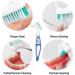 4-Piece Portable Prosthesis Toothbrush Set - Multi-Layered Cleaning Brushes for False Teeth (4 Colors) - Buy Online on GoSupps.com