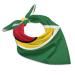 Calculay Guyana Flag Bandana Turban Headband Head Wrap Square Wristband Decorative Hair Accessories 25"x25" Style