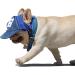Adjustable Dogs Baseball Cap with Ear Holes - Breathable Sun Hat for Summer Travel - Perfect for Pets & Puppies - Buy Online on GoSupps.com