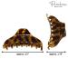 Parcelona French Boss Thin Light Tortoise Shell Brown Celluloid Hair Claw Clip Set - 2 Pack - Buy Online on GoSupps.com