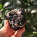 Natural Crystal Rough 1pcs Natural Black tourmarine and Crystal Specimen Reiki Healing Crystals Rough Gemstone for Home Decoration - Buy Online on GoSupps.com
