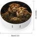 Portable Travel Contact Lens Case - Two Lions Stylish Lens Storage Box - Buy Online on GoSupps.com