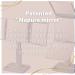 HORIUCHI Trifold Vanity Mirror - Japanese Makeup Mirror with 360 View, 2X Magnification, Three-Sided Design (Silver) - Buy Online on GoSupps.com