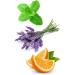 doTERRA Adaptiv Calming Blend Essential Oil 15ml - Soothing & Stress Relief | International Shipping Available - Buy Online on GoSupps.com